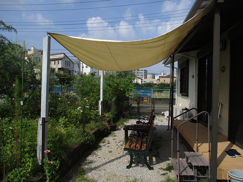 8/23園芸_タープを張っている様子