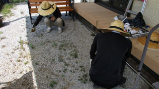 8/23園芸_タープの下の草とりをしている様子