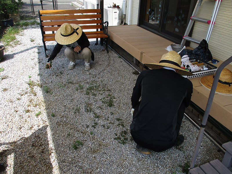 8/23園芸_タープの下の草とりをしている様子