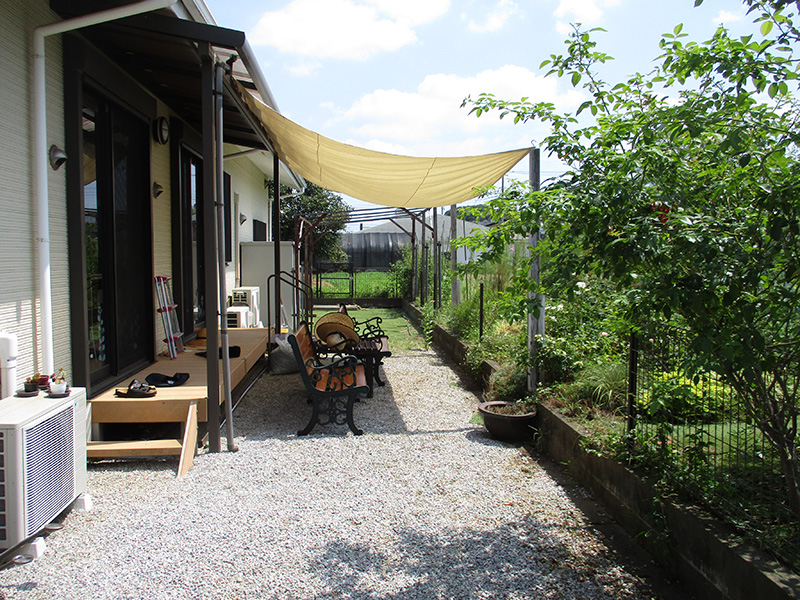 8/23園芸_草とりをしてきれいになったこころ野の庭